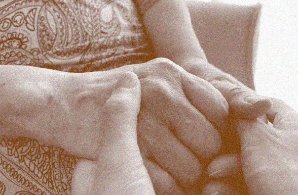 デイサービス・訪問介護写真